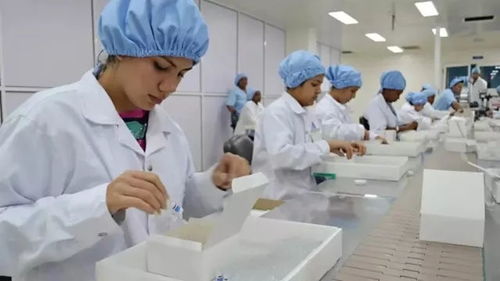 古巴抗癌疫苗取得新进展，为攻克实体瘤带来新希望