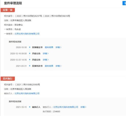 比特大陆关联公司成被执行人，执行标的超23万元涉及软件开发